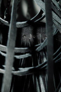 Adam chandelier detail